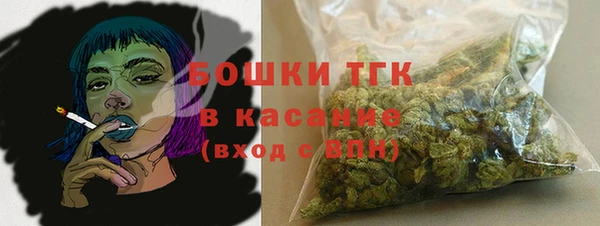 PSILOCYBIN Лагань