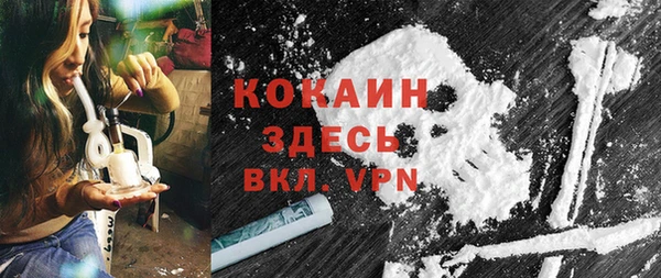 PSILOCYBIN Лагань