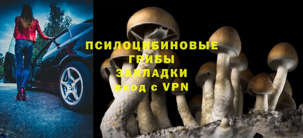 прущая мука Ладушкин