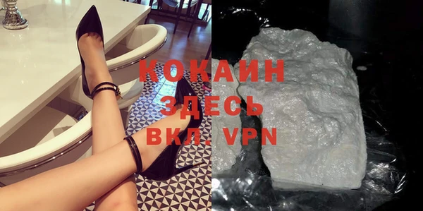 PSILOCYBIN Лагань